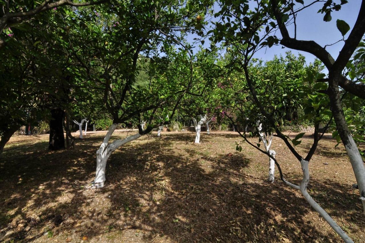 Ionian Garden Villas - Villa Pietra Benitses  Dış mekan fotoğraf