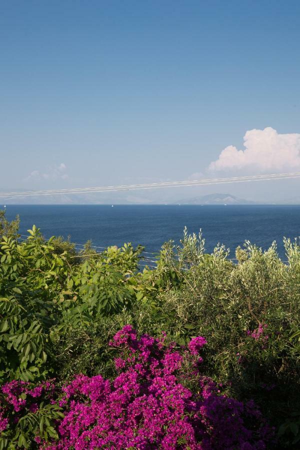 Ionian Garden Villas - Villa Pietra Benitses  Dış mekan fotoğraf